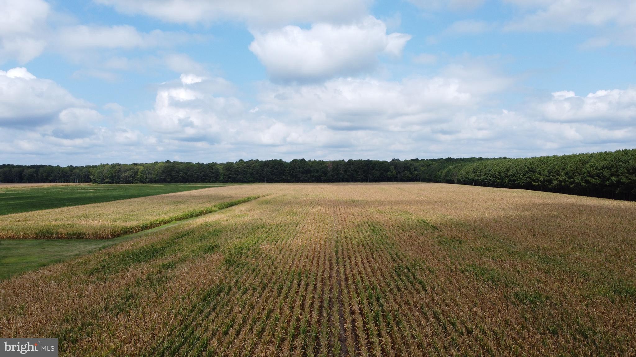 5449 Shell Road Snow Hill, MD 21863 - Photo 14 of 45 a view of an outdoor space and lakeside