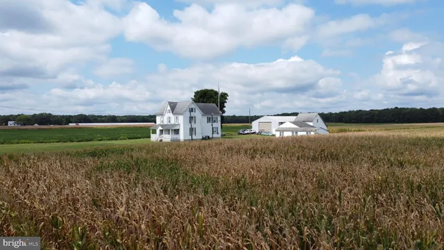 a view of an ocean and beach