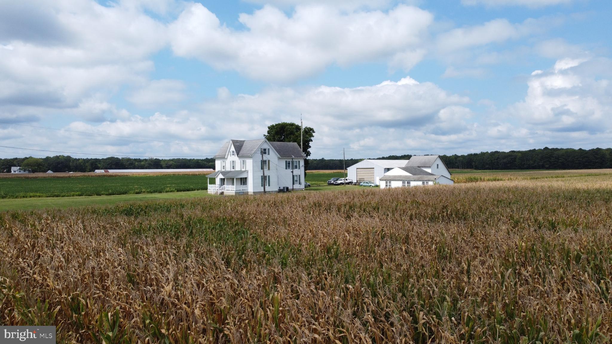 5449 Shell Road Snow Hill, MD 21863 - Photo 15 of 45 a view of a lake with houses in the back