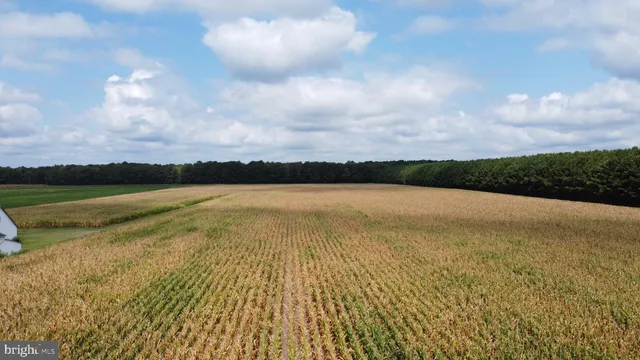 a view of swimming pool and lake