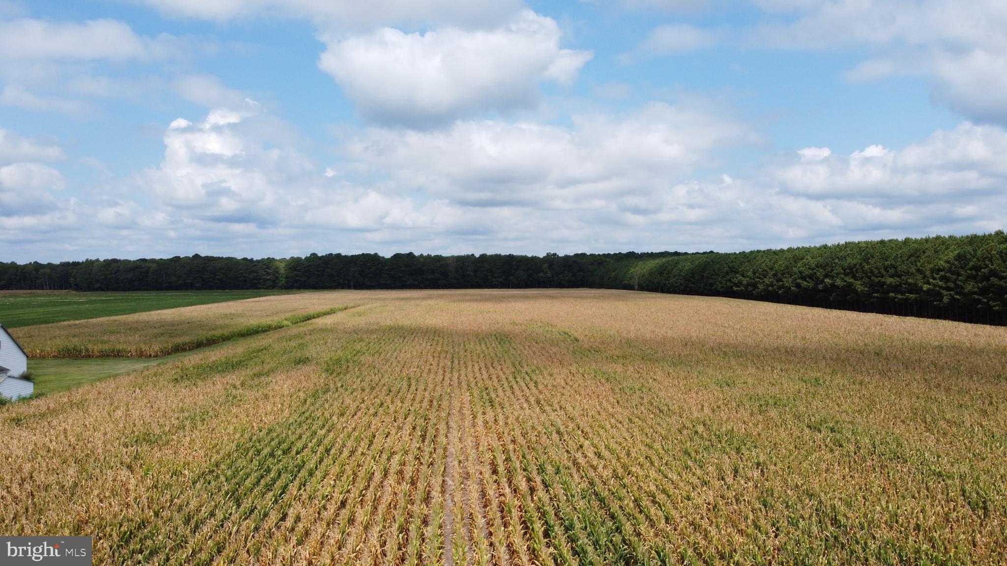 5449 Shell Road Snow Hill, MD 21863 - Photo 16 of 45 a view of an ocean and beach
