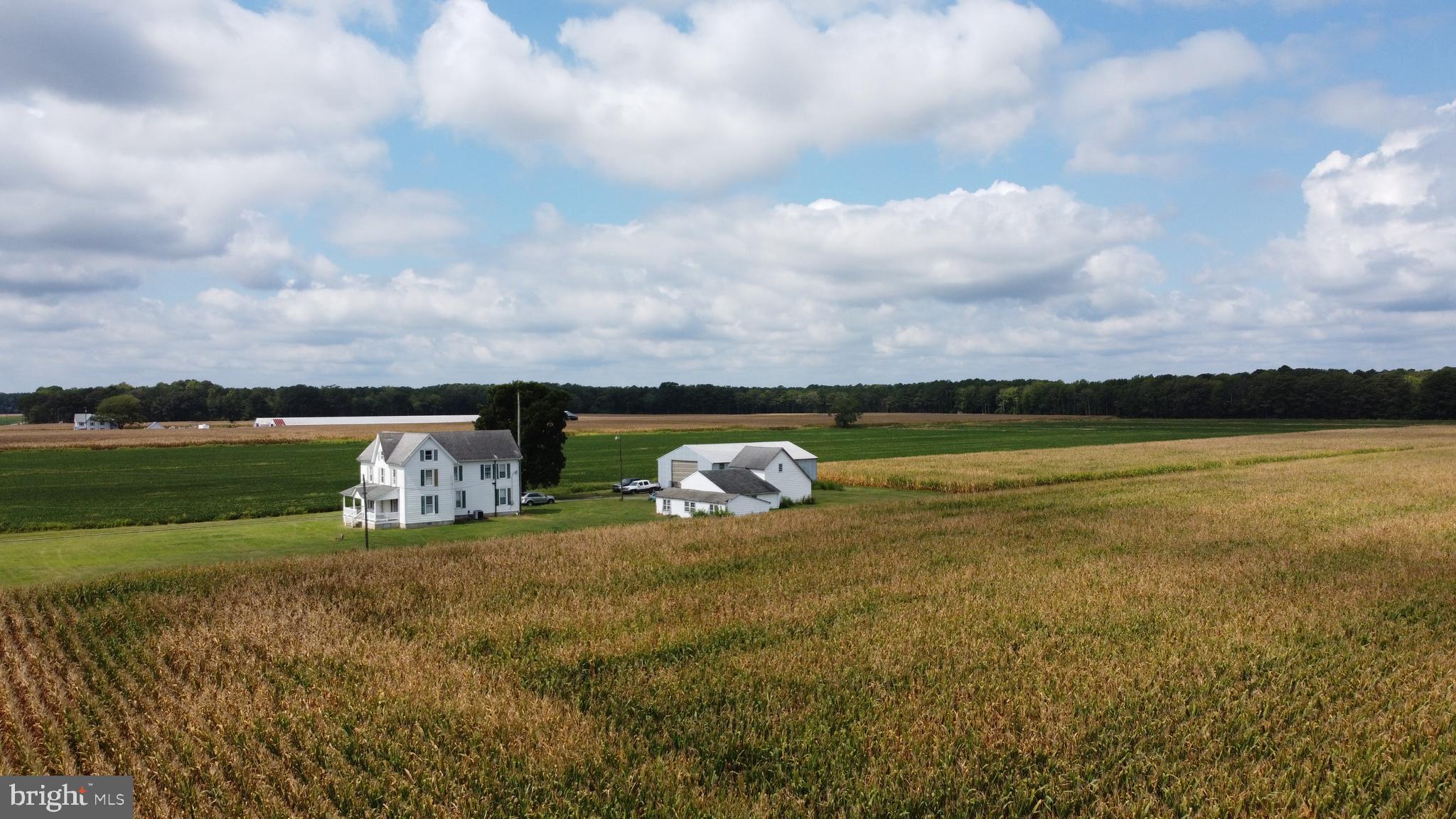 5449 Shell Road Snow Hill, MD 21863 - Photo 17 of 45 a view of swimming pool and lake