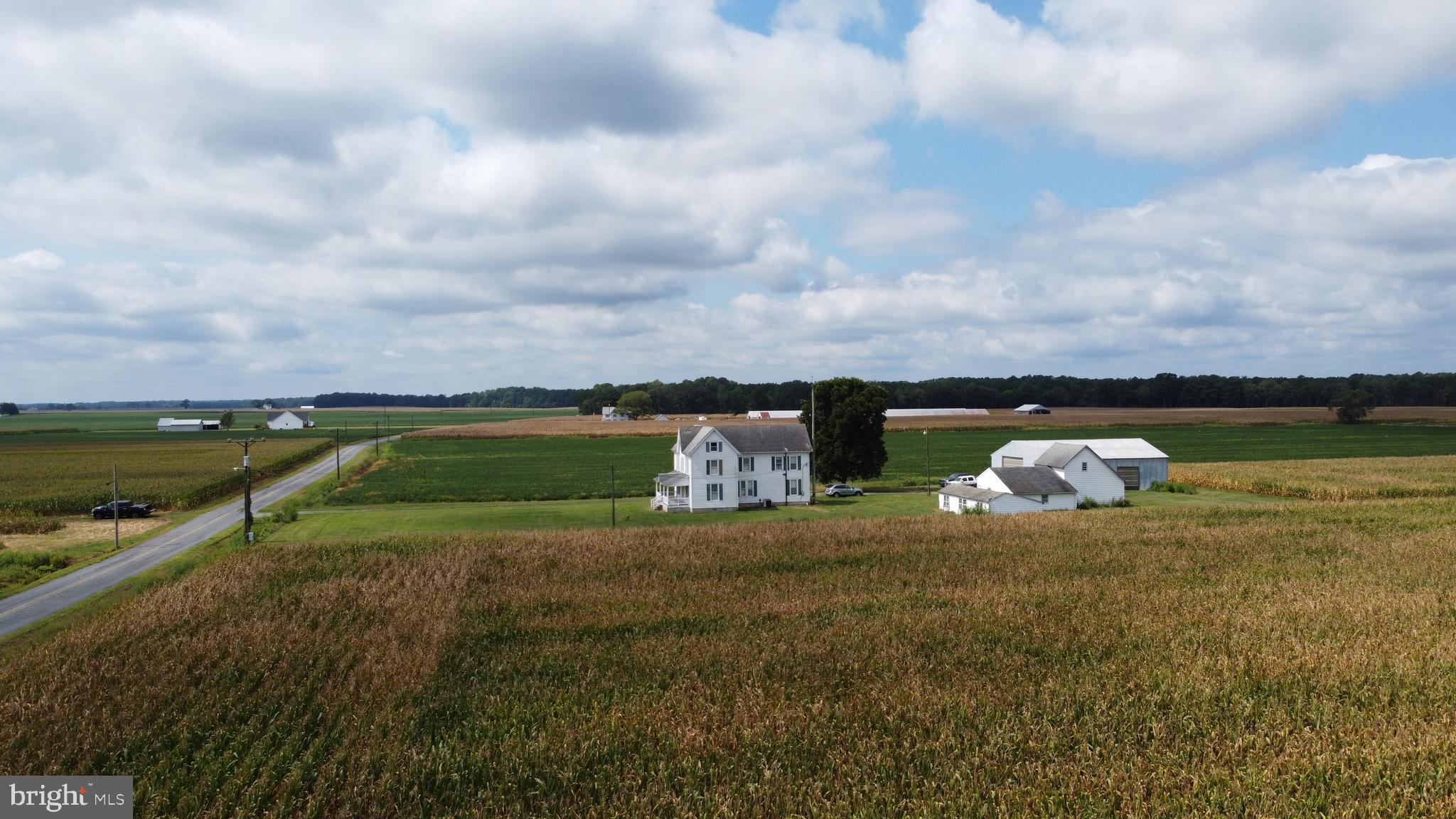 5449 Shell Road Snow Hill, MD 21863 - Photo 18 of 45 a view of a lake in front of the house