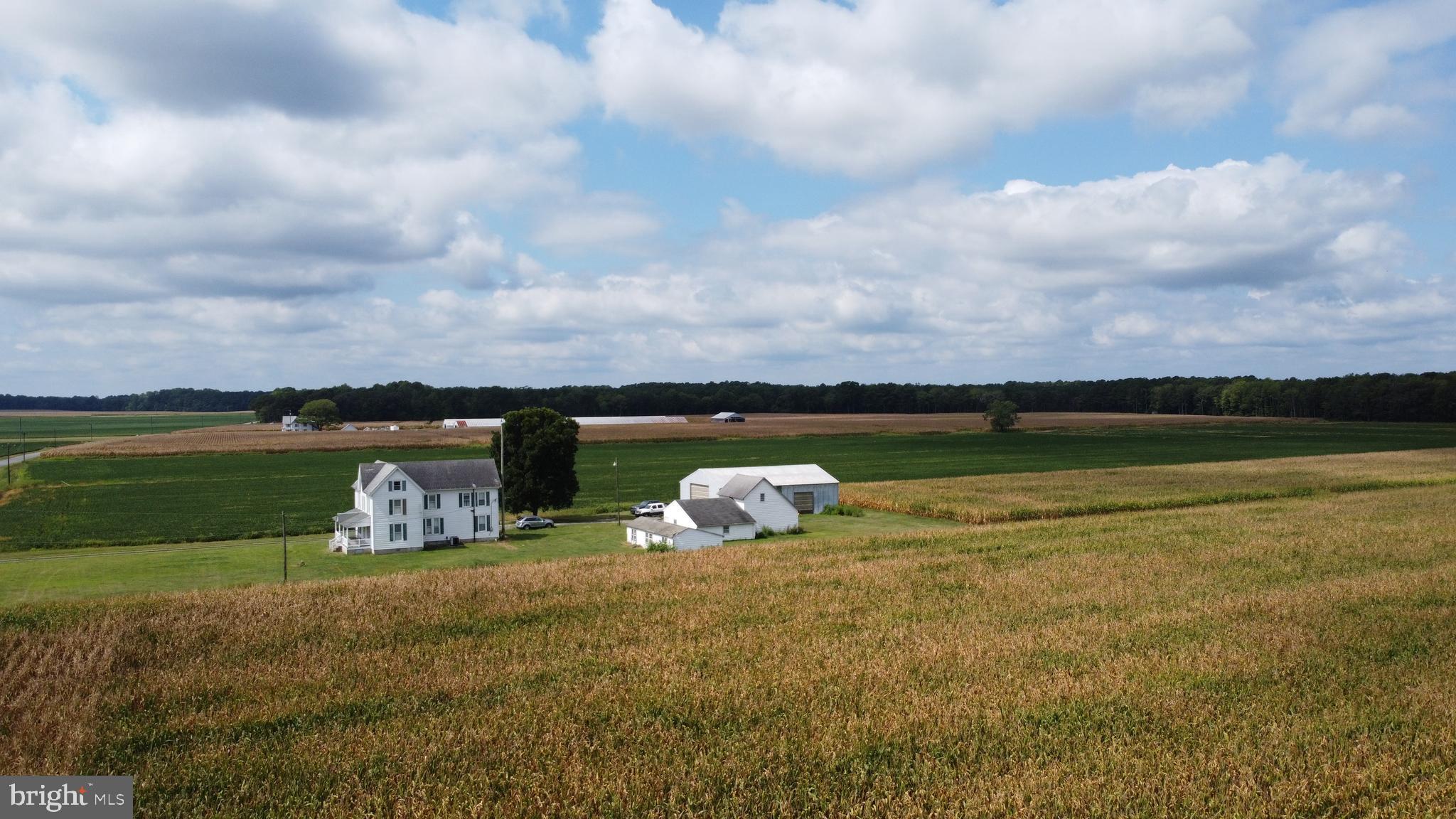 5449 Shell Road Snow Hill, MD 21863 - Photo 19 of 45 a view of a lake with a big yard