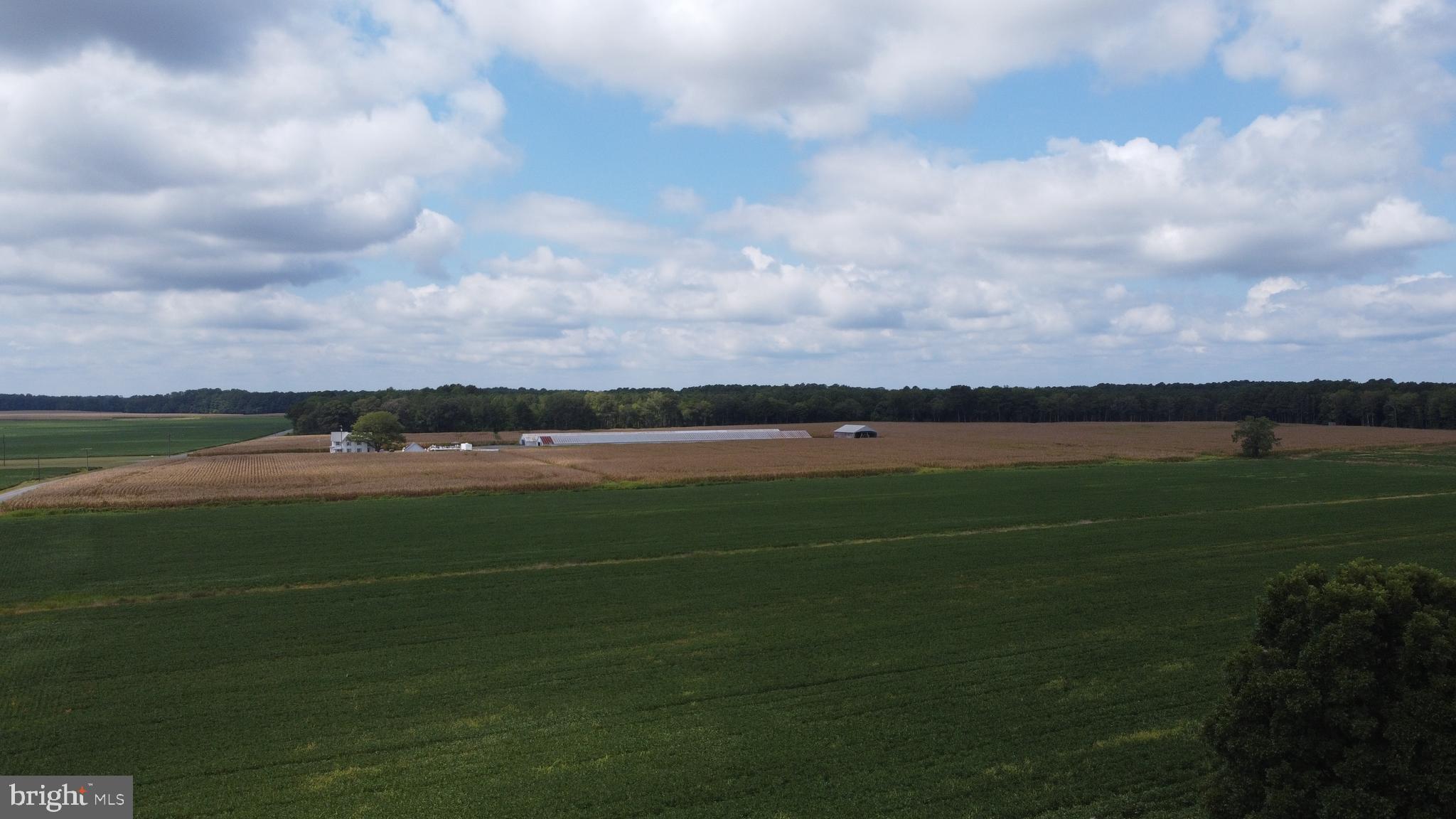 5449 Shell Road Snow Hill, MD 21863 - Photo 20 of 45 a view of a field and outside of lake