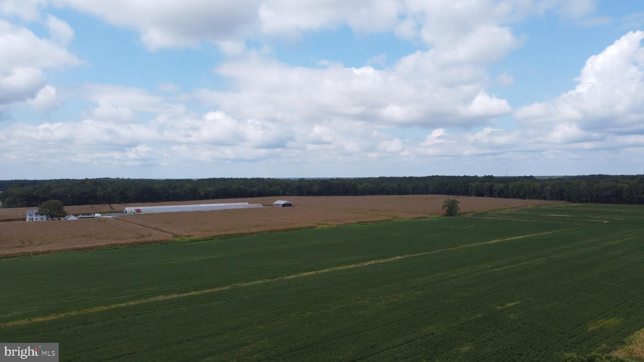 5449 Shell Road Snow Hill, MD 21863 - Photo 21 of 45 a view of a tennis court