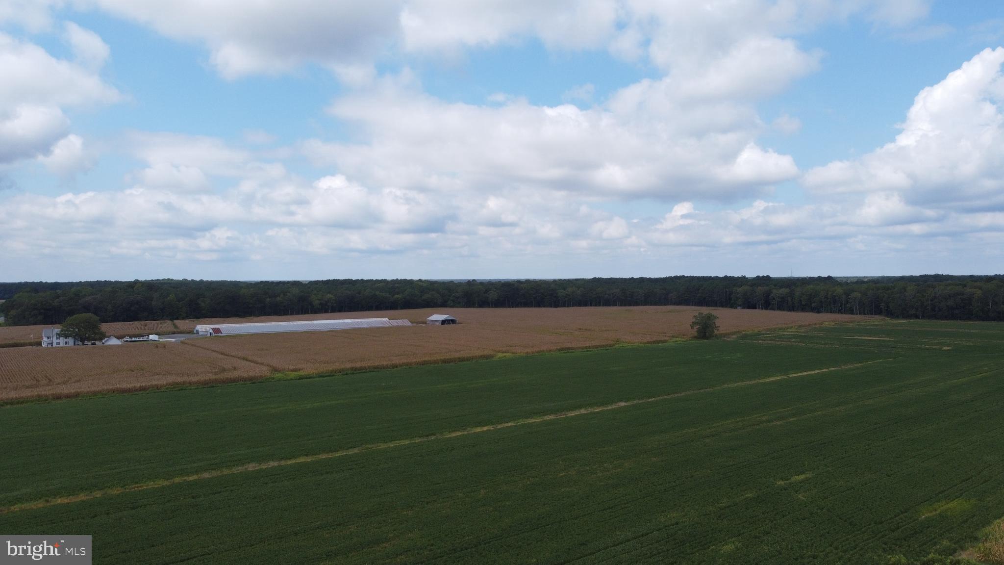5449 Shell Road Snow Hill, MD 21863 - Photo 22 of 45 a view of a tennis court