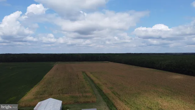 a view of a city with an ocean