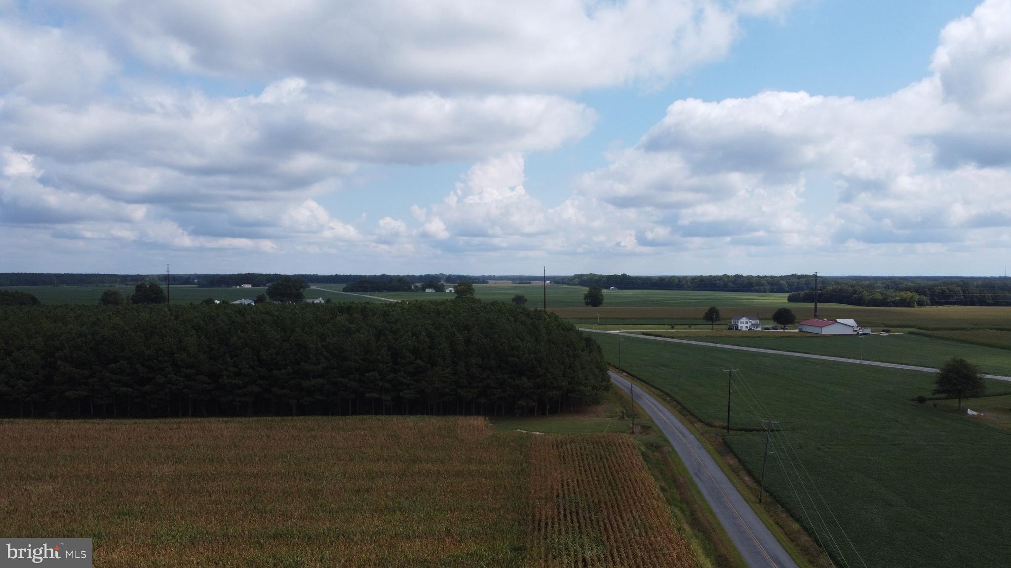 5449 Shell Road Snow Hill, MD 21863 - Photo 24 of 45 a view of a city with an ocean