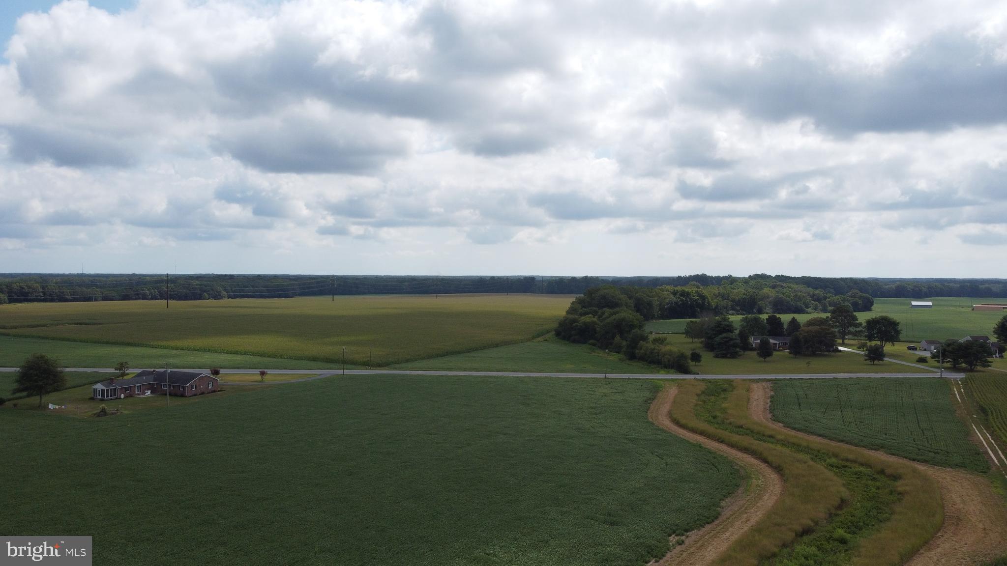 5449 Shell Road Snow Hill, MD 21863 - Photo 25 of 45 a view of a lake with a yard