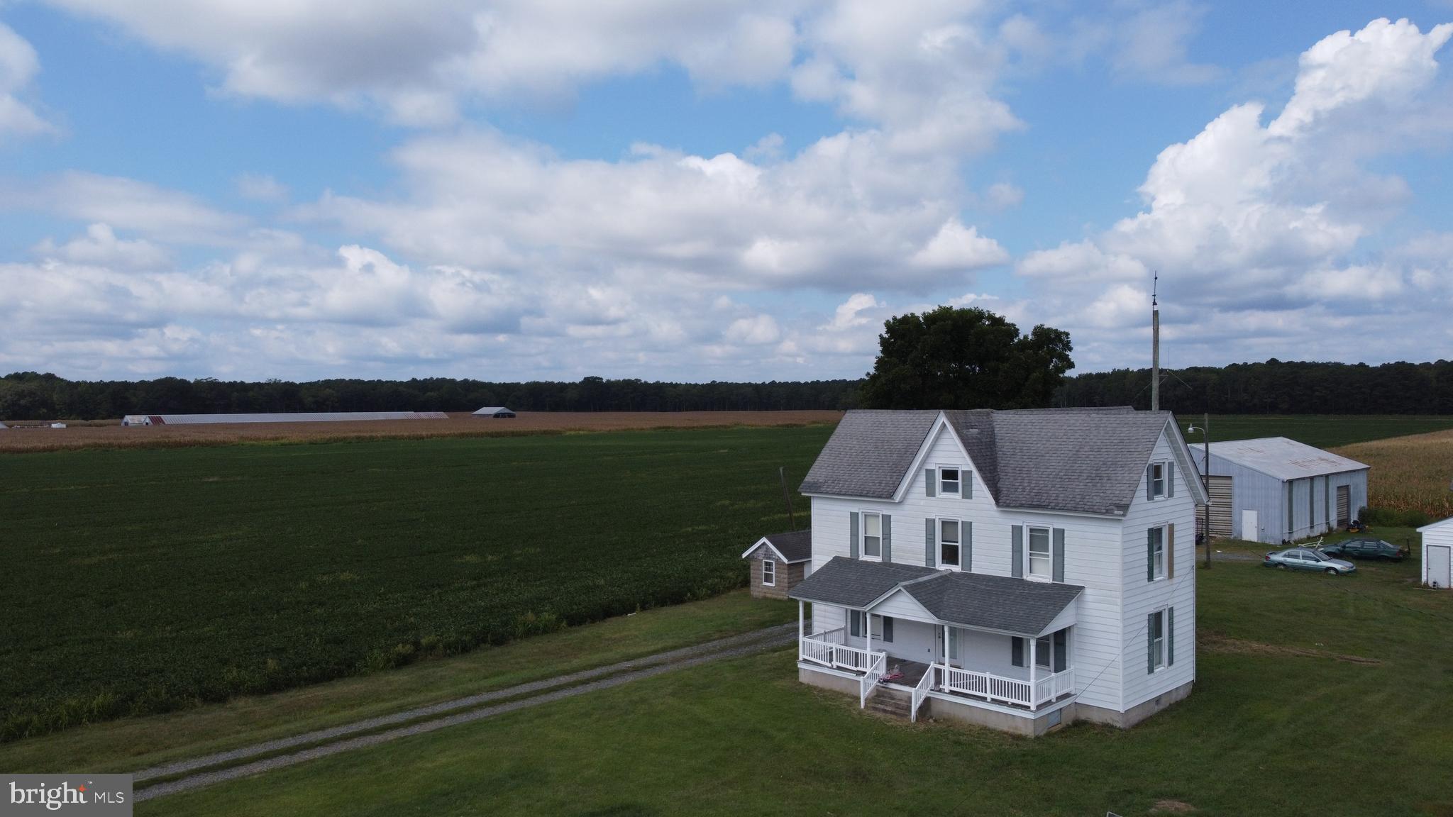 5449 Shell Road Snow Hill, MD 21863 - Photo 26 of 45 a view of a terrace with a table and chairs