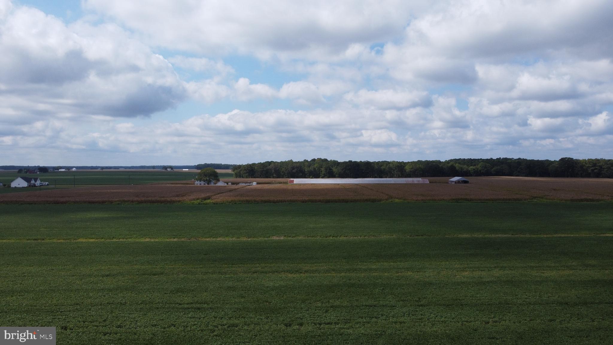 5449 Shell Road Snow Hill, MD 21863 - Photo 28 of 45