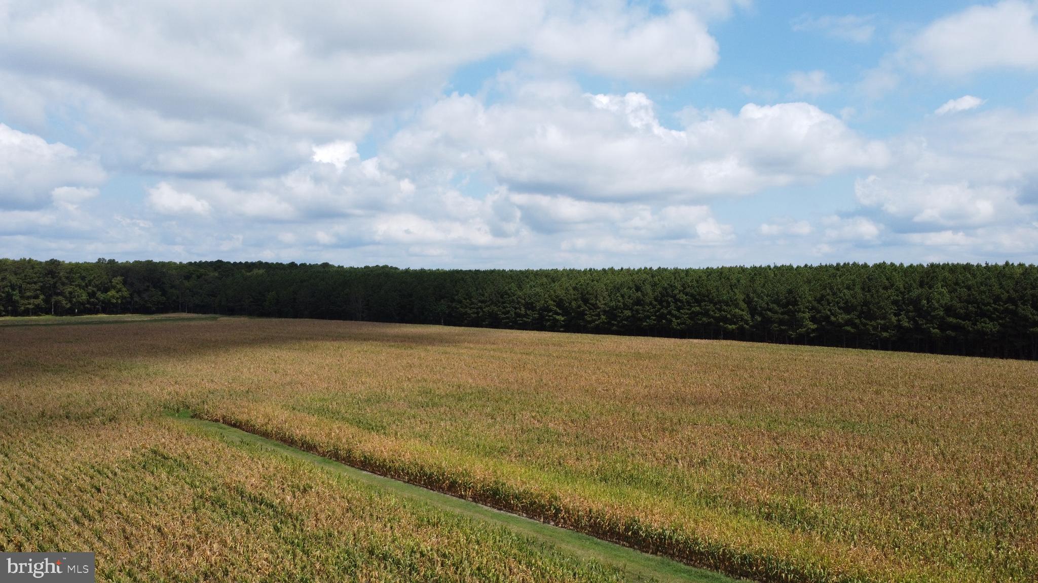 5449 Shell Road Snow Hill, MD 21863 - Photo 29 of 45 a view of an ocean and beach