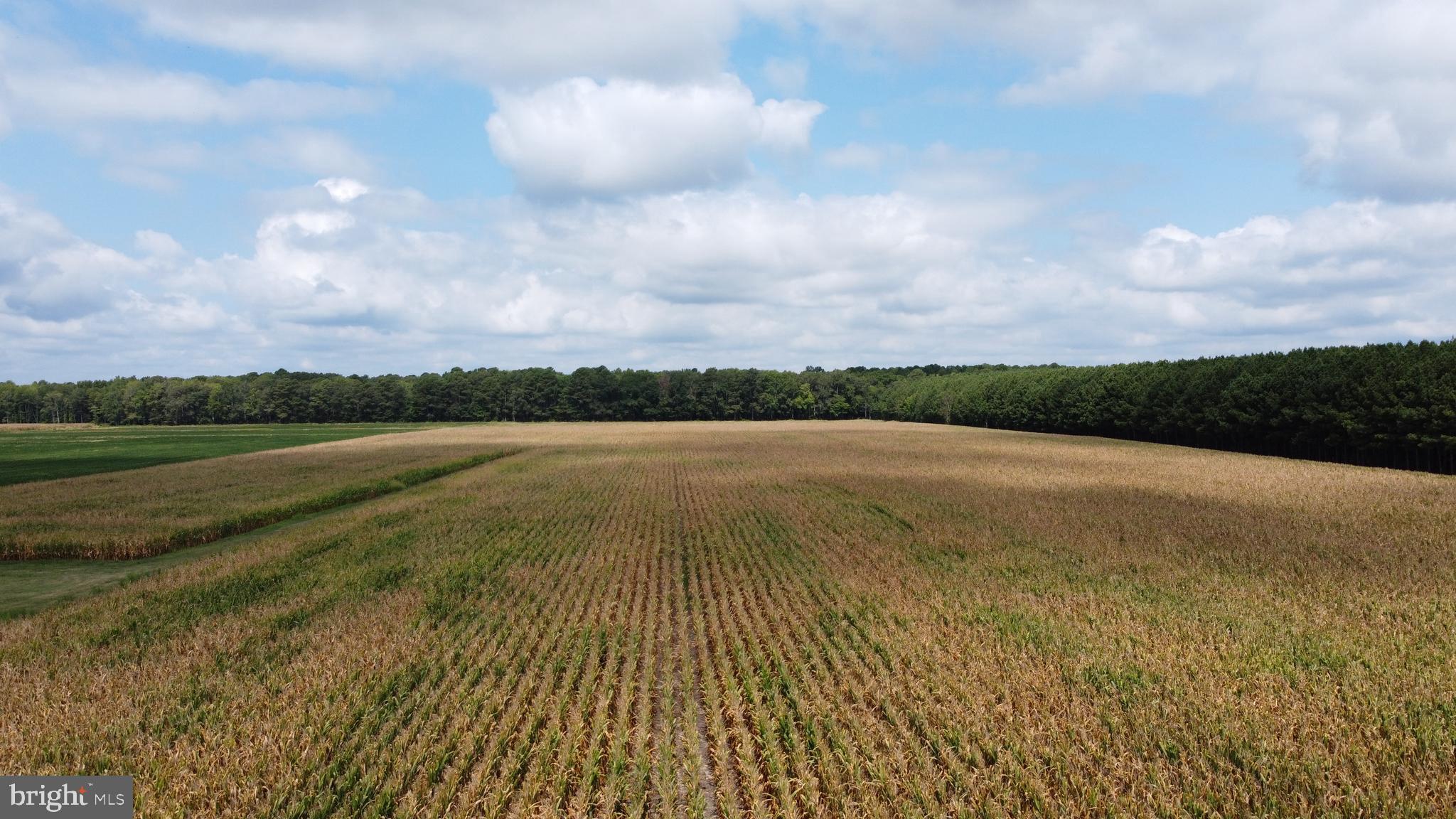 5449 Shell Road Snow Hill, MD 21863 - Photo 3 of 45 a view of an ocean and beach
