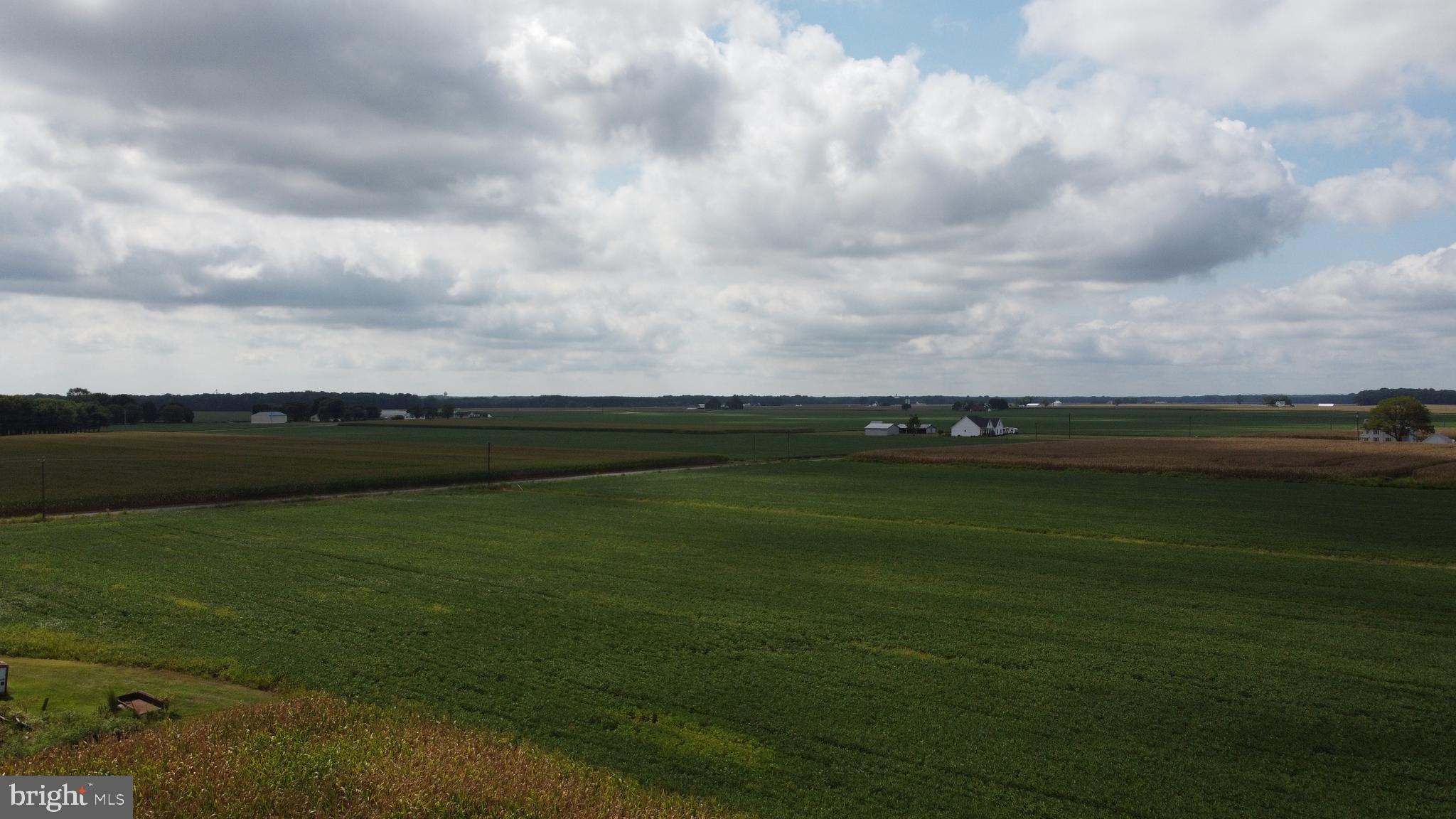 5449 Shell Road Snow Hill, MD 21863 - Photo 31 of 45 a view of an ocean