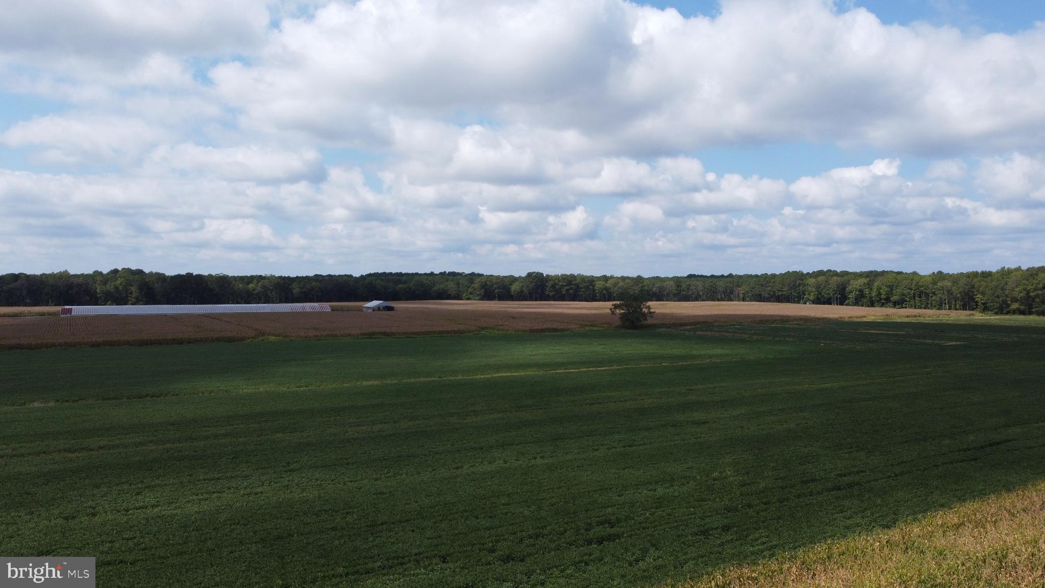 5449 Shell Road Snow Hill, MD 21863 - Photo 32 of 45 a view of a lake with a big yard