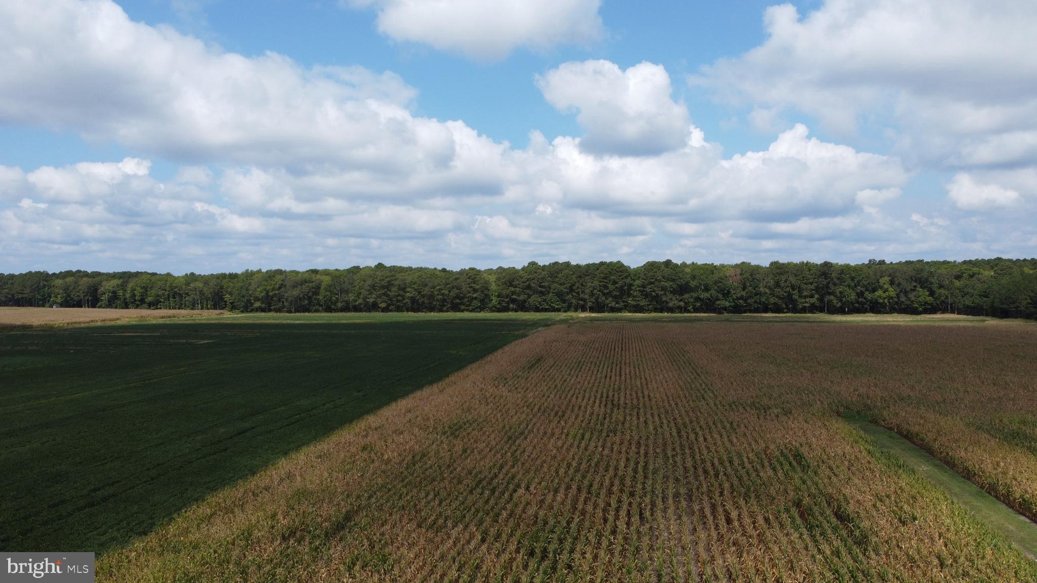 5449 Shell Road Snow Hill, MD 21863 - Photo 33 of 45