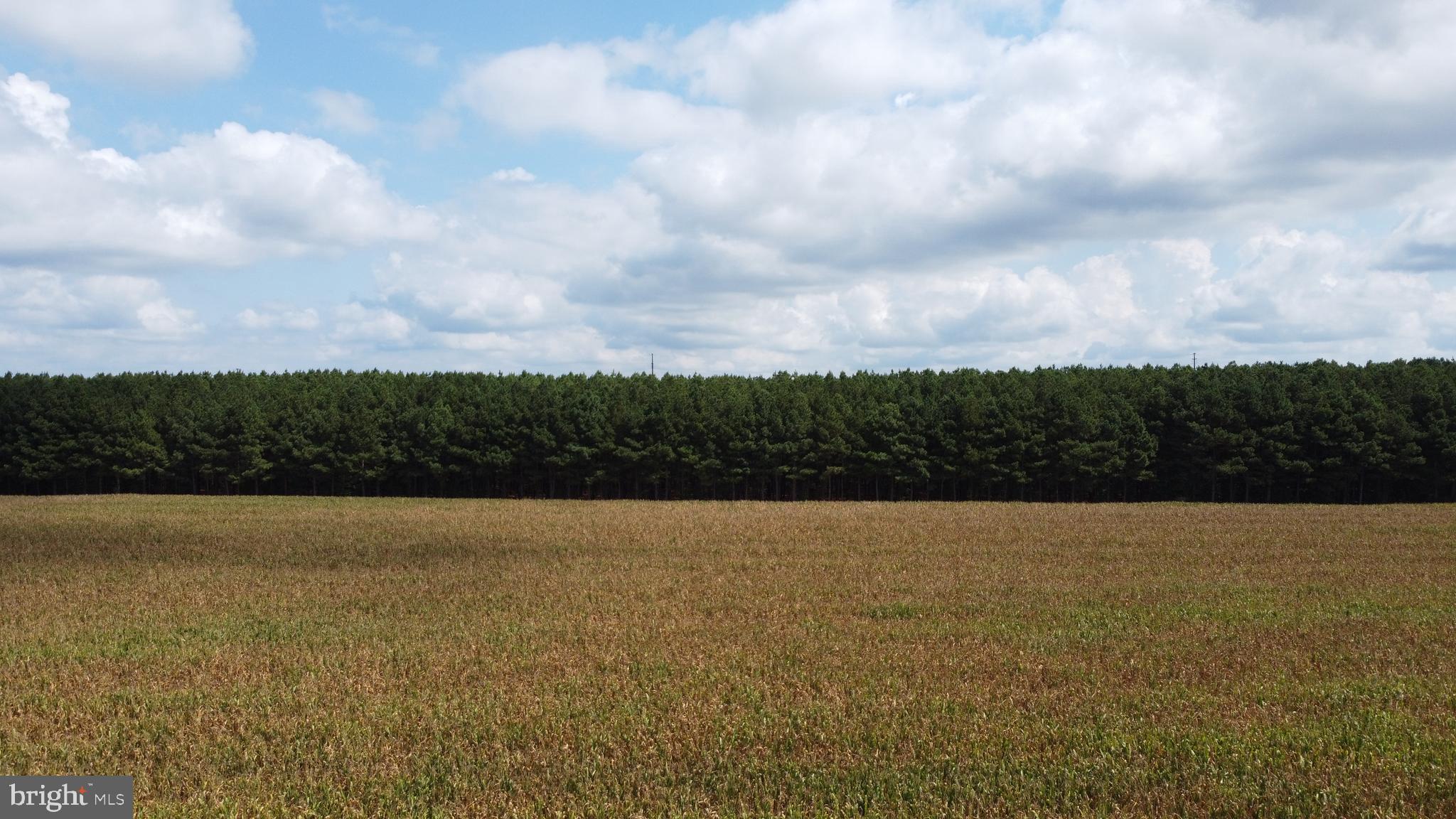 5449 Shell Road Snow Hill, MD 21863 - Photo 34 of 45 a view of mountain with lake view