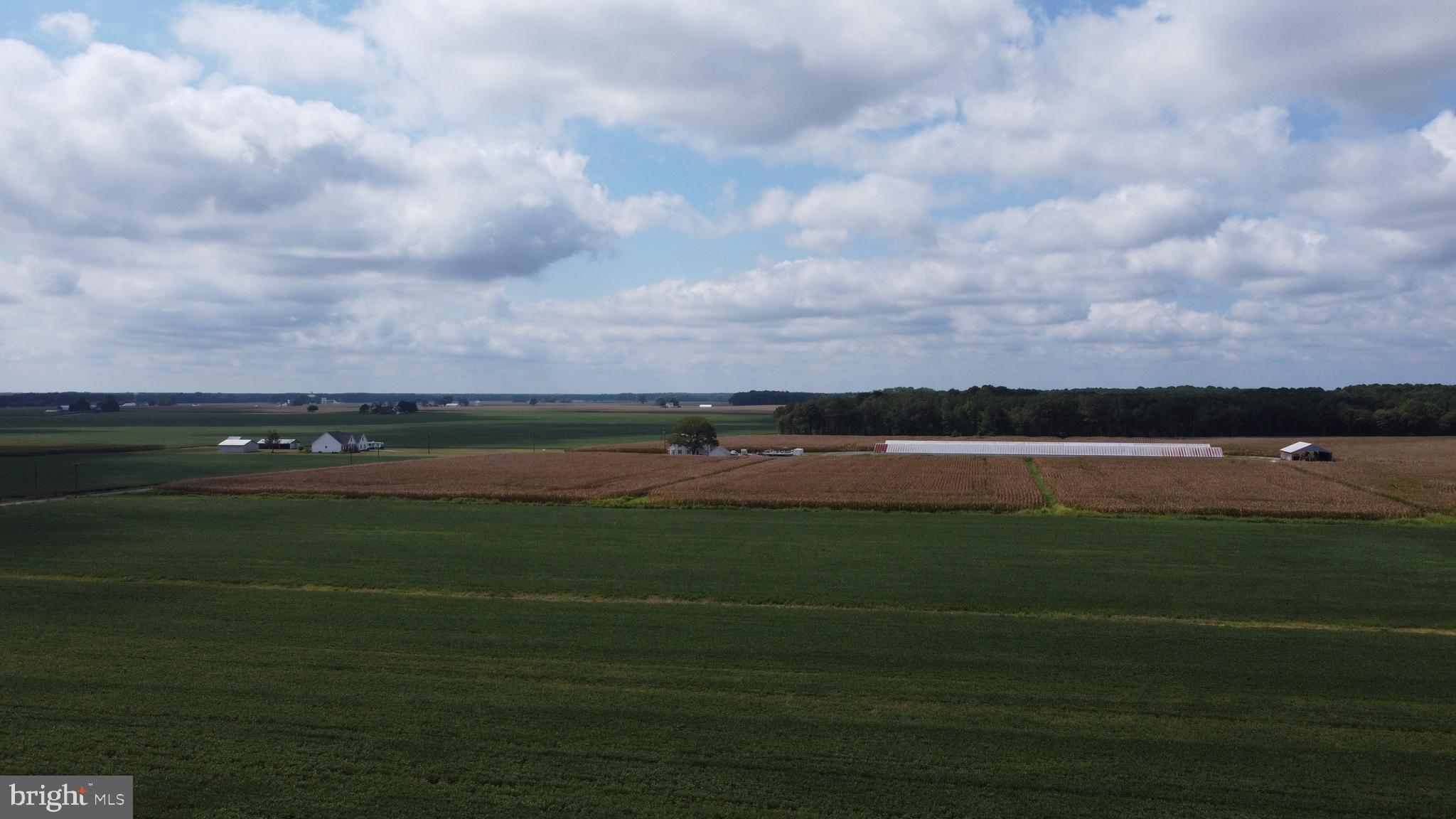 5449 Shell Road Snow Hill, MD 21863 - Photo 36 of 45 a view of a lake