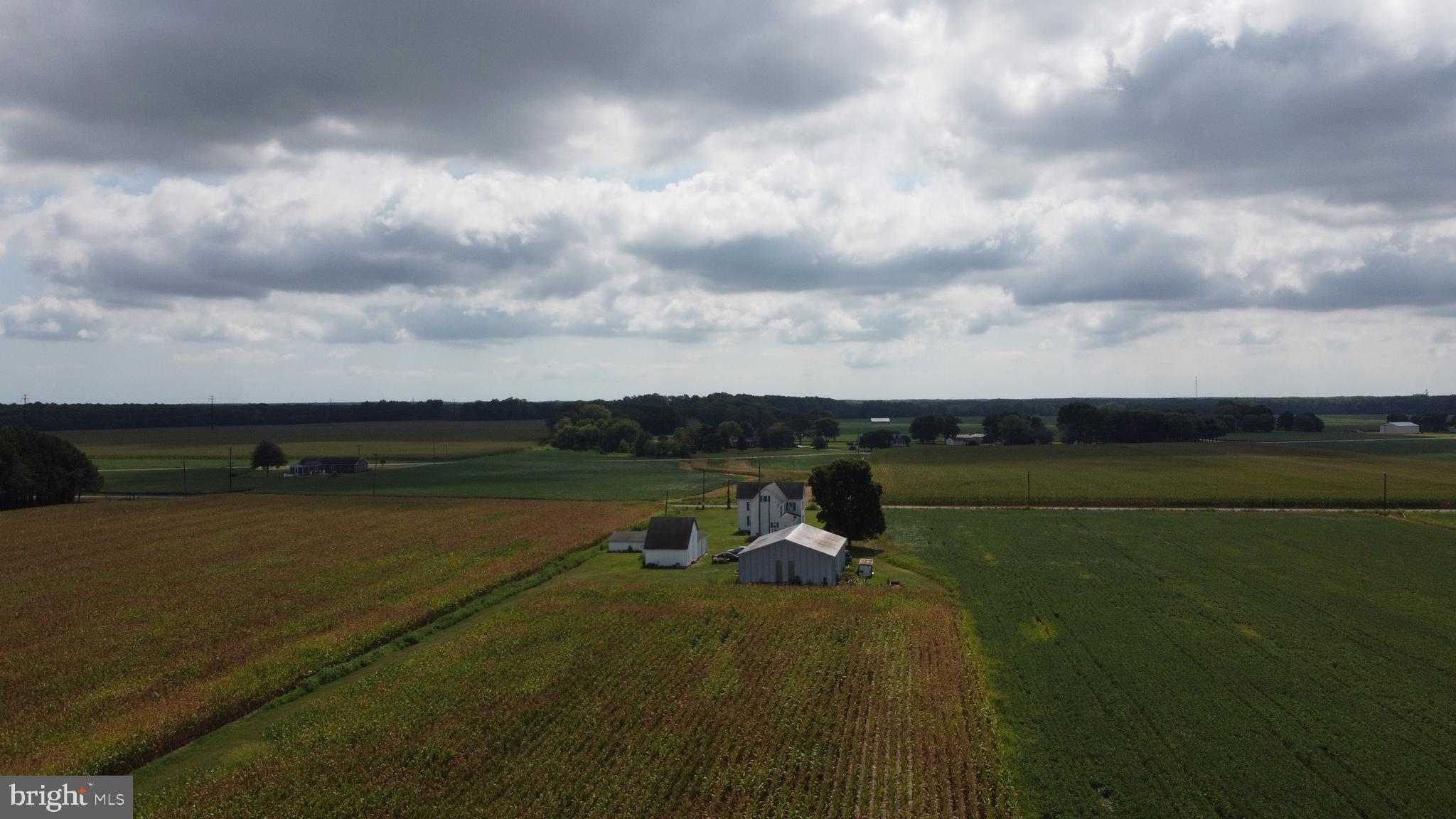 5449 Shell Road Snow Hill, MD 21863 - Photo 37 of 45 a view of a lake with a big yard