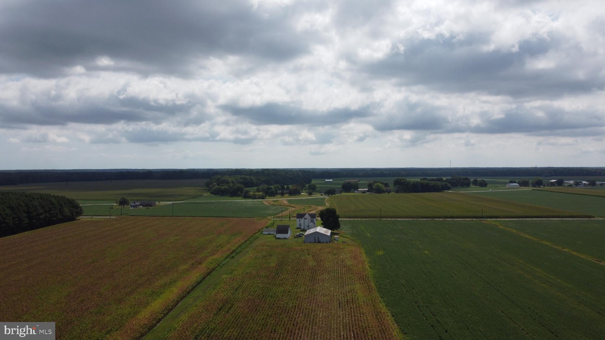 5449 Shell Road Snow Hill, MD 21863 - Photo 38 of 45 a view of a lake with a big yard