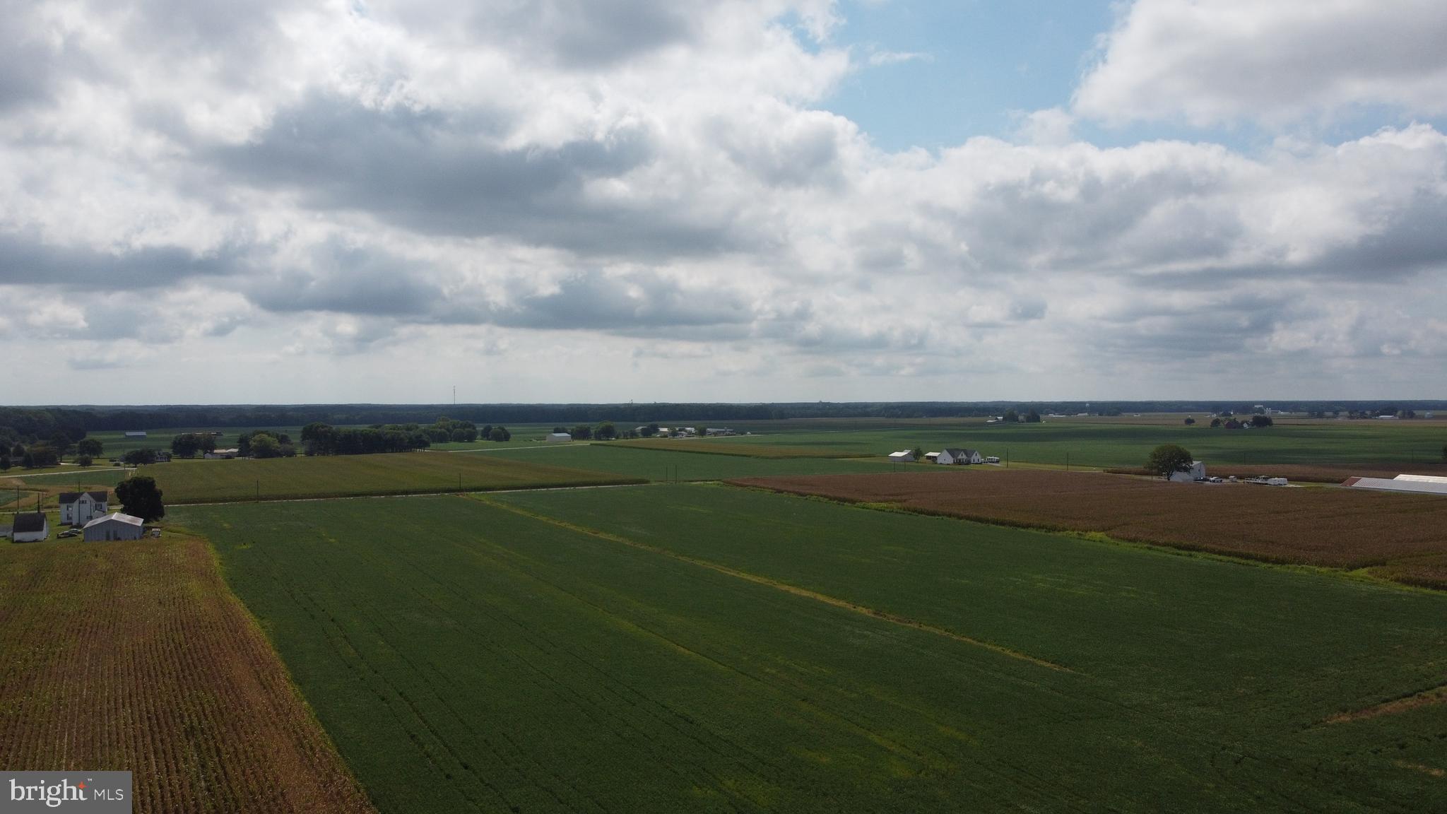 5449 Shell Road Snow Hill, MD 21863 - Photo 39 of 45 a view of a golf course with a lake