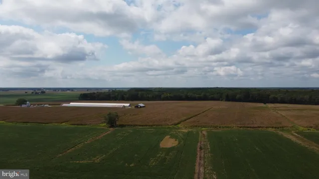 a view of a lake with a big yard