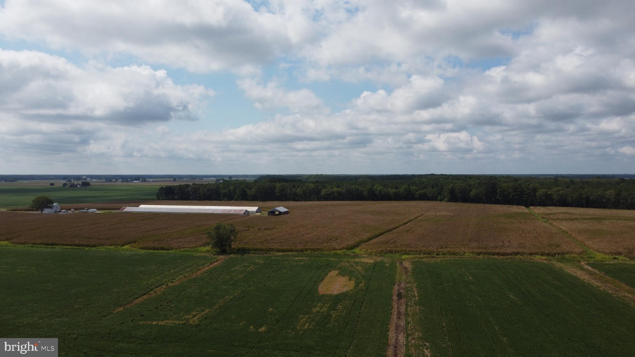 5449 Shell Road Snow Hill, MD 21863 - Photo 40 of 45