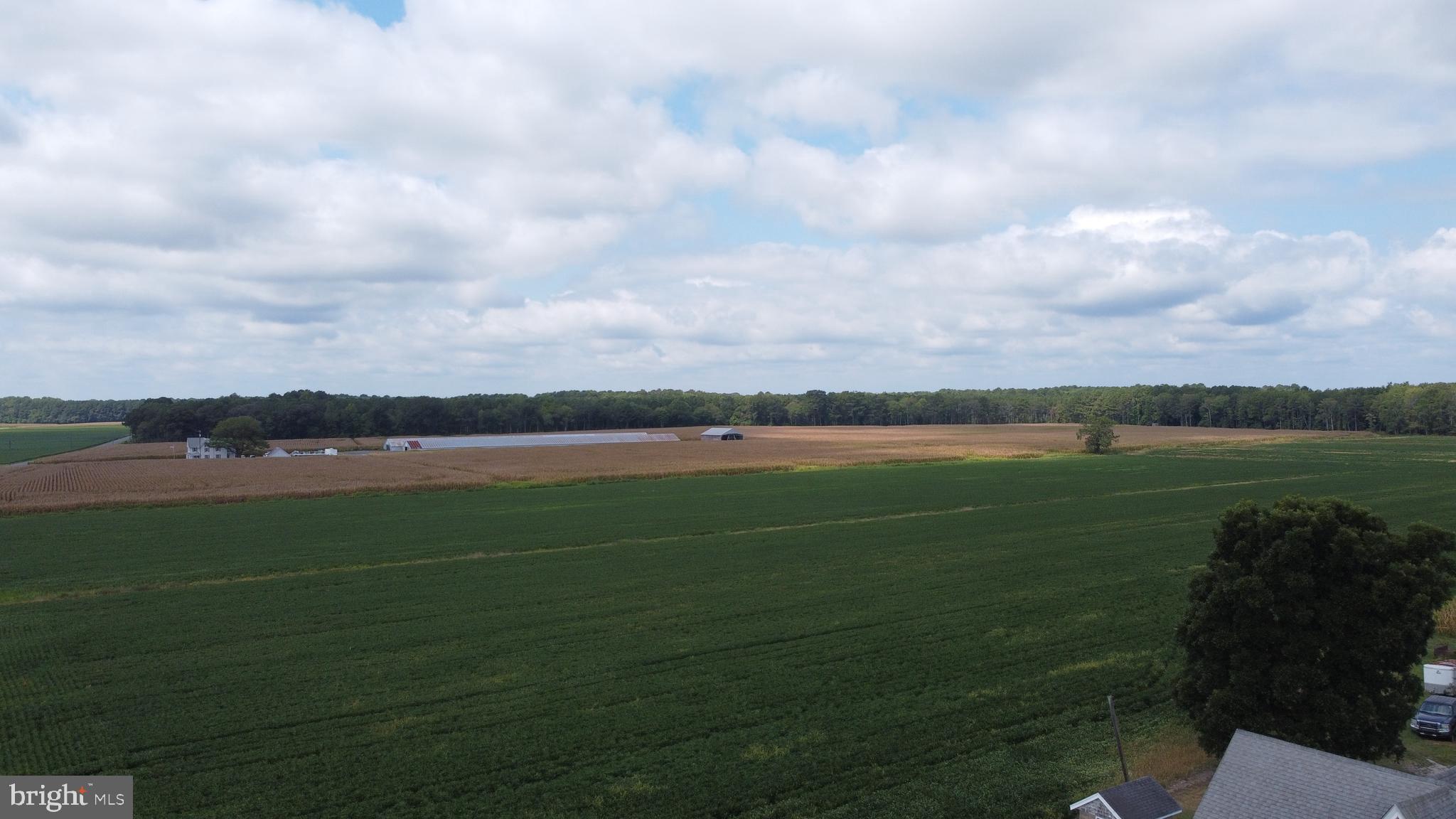 5449 Shell Road Snow Hill, MD 21863 - Photo 4 of 45 a view of a lake with a big yard