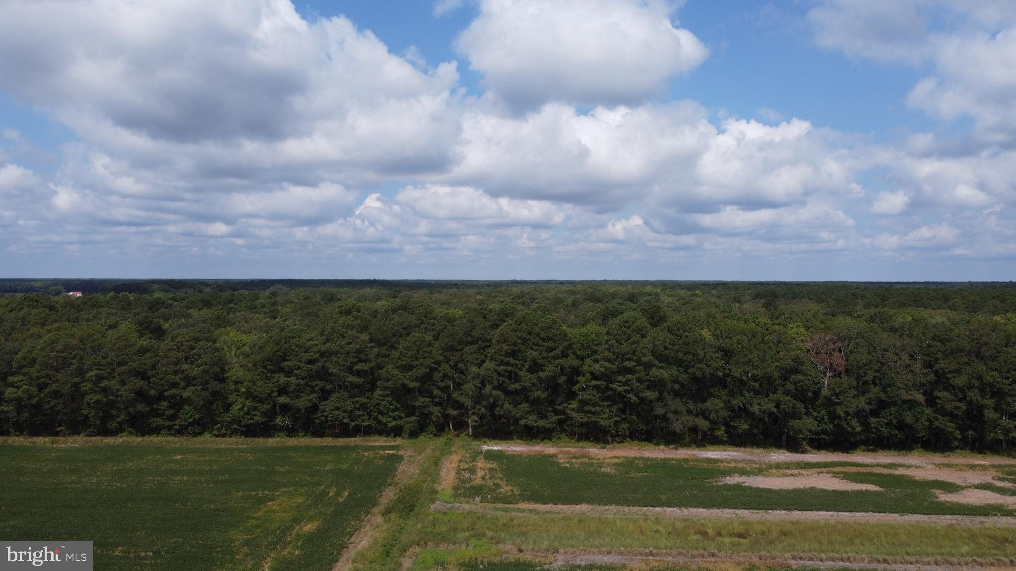 5449 Shell Road Snow Hill, MD 21863 - Photo 41 of 45 a view of a city