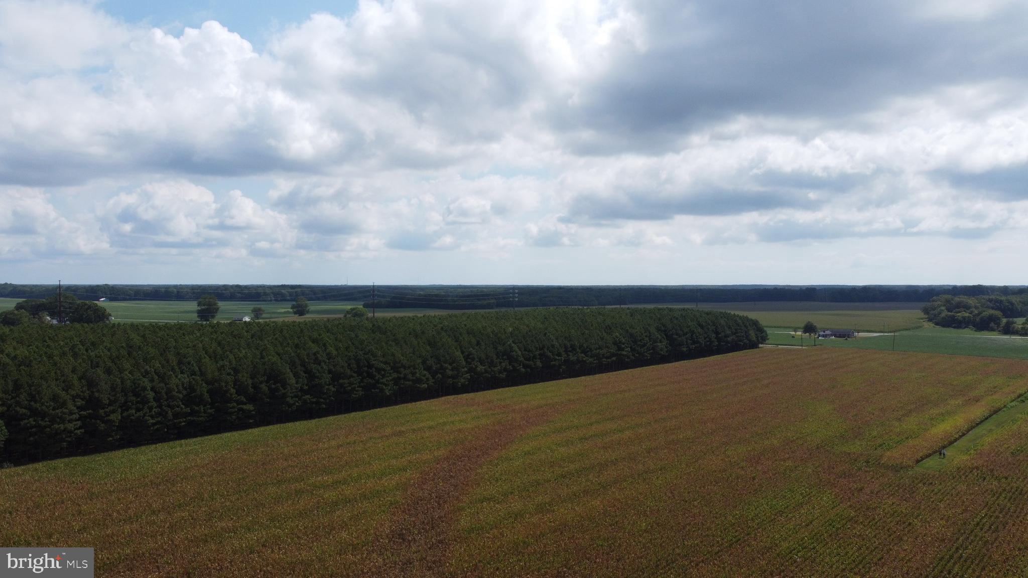 5449 Shell Road Snow Hill, MD 21863 - Photo 43 of 45 a view of outside space and mountain view in back