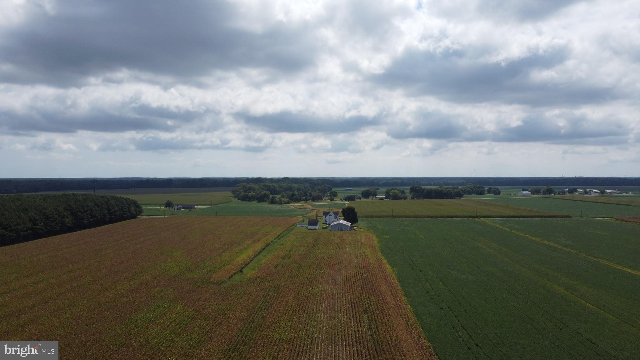 5449 Shell Road Snow Hill, MD 21863 - Photo 44 of 45