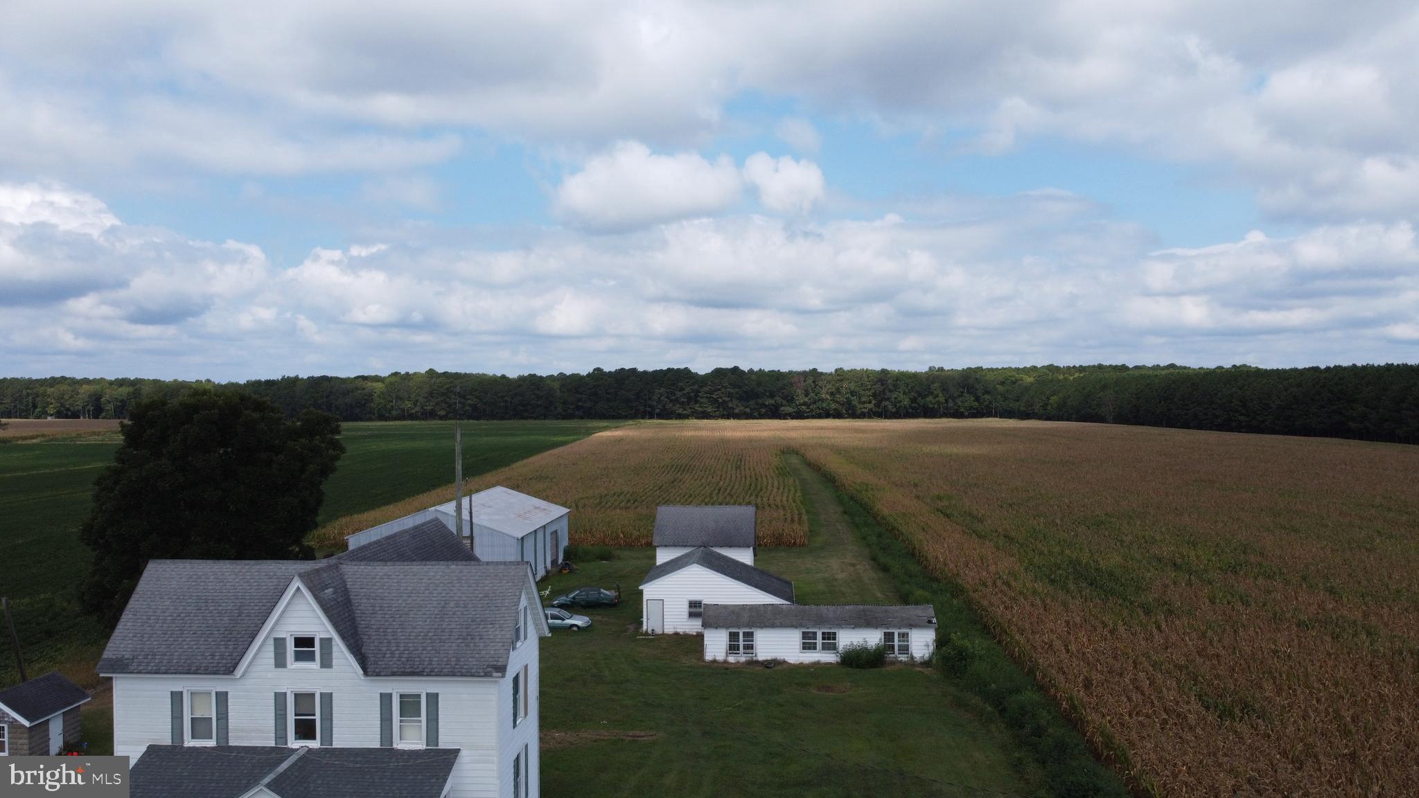 5449 Shell Road Snow Hill, MD 21863 - Photo 5 of 45 a view of a lake in front of house