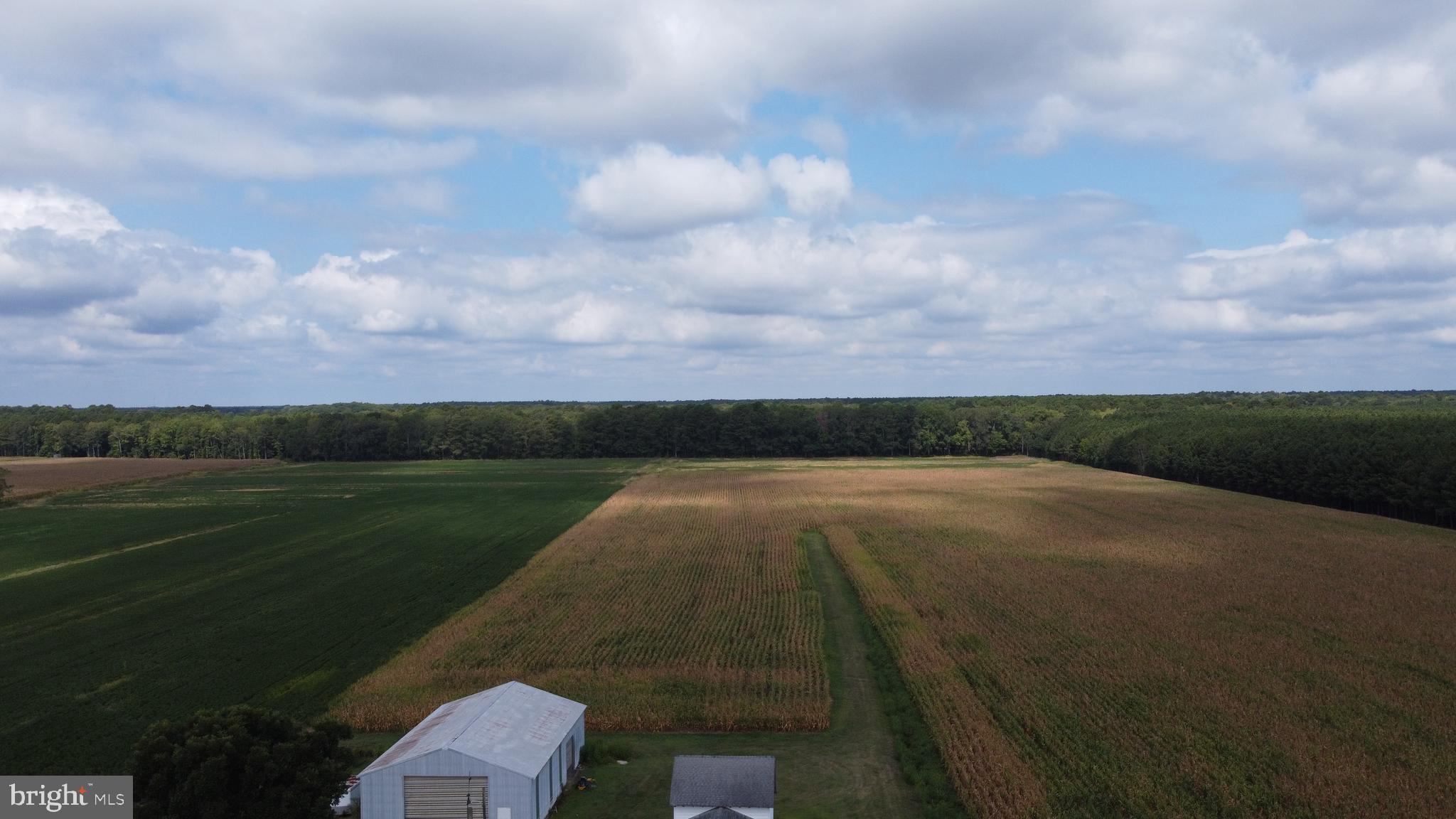 5449 Shell Road Snow Hill, MD 21863 - Photo 6 of 45 a view of outdoor space and yard