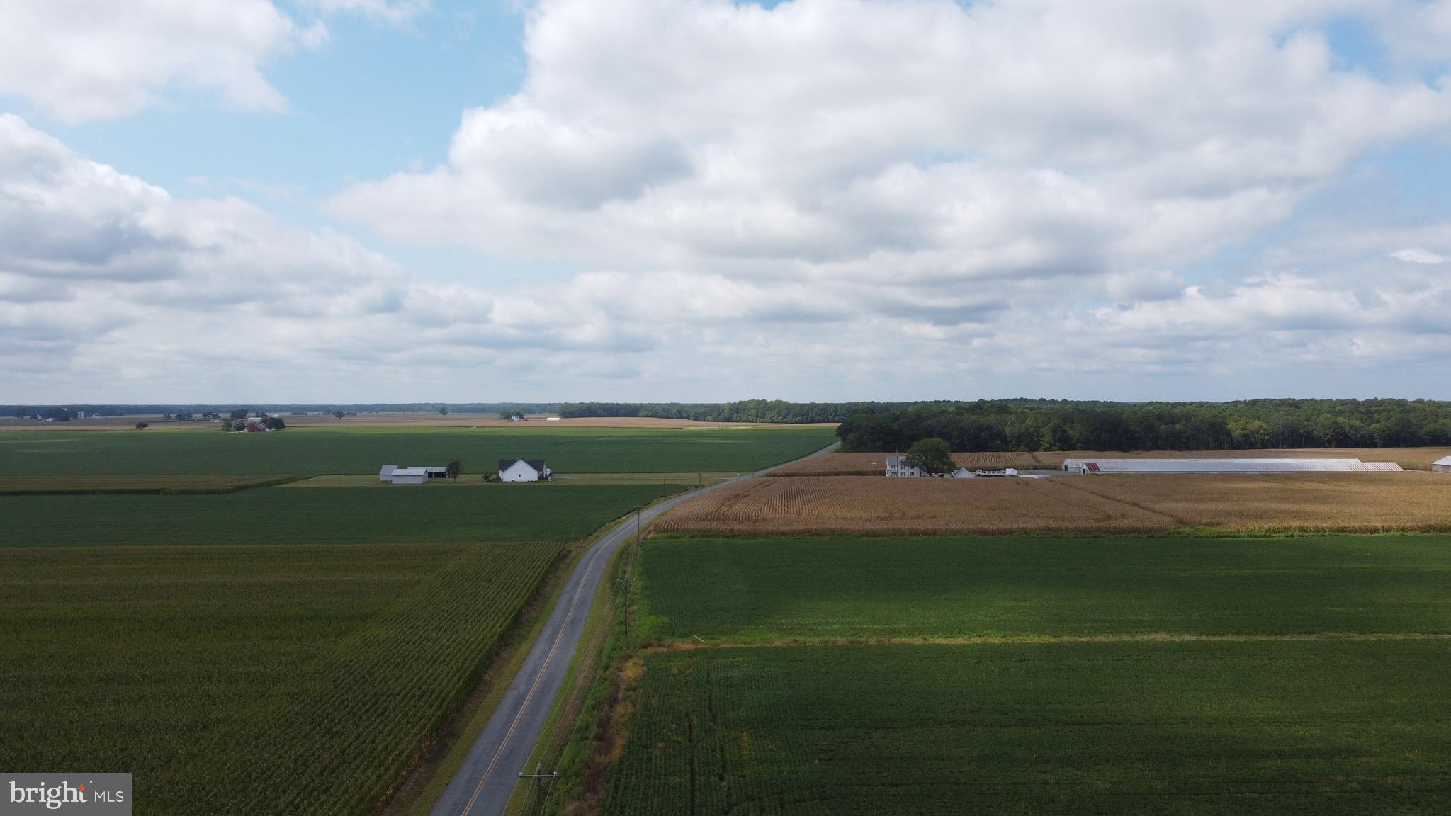 5449 Shell Road Snow Hill, MD 21863 - Photo 8 of 45 a view of a lake and front of residential houses with outdoor space