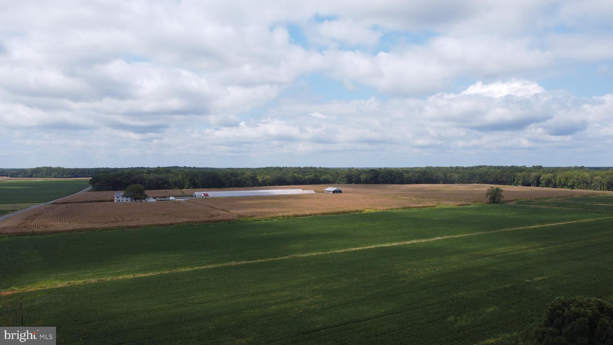 5449 Shell Road Snow Hill, MD 21863 - Photo 9 of 45 a view of a tennis court