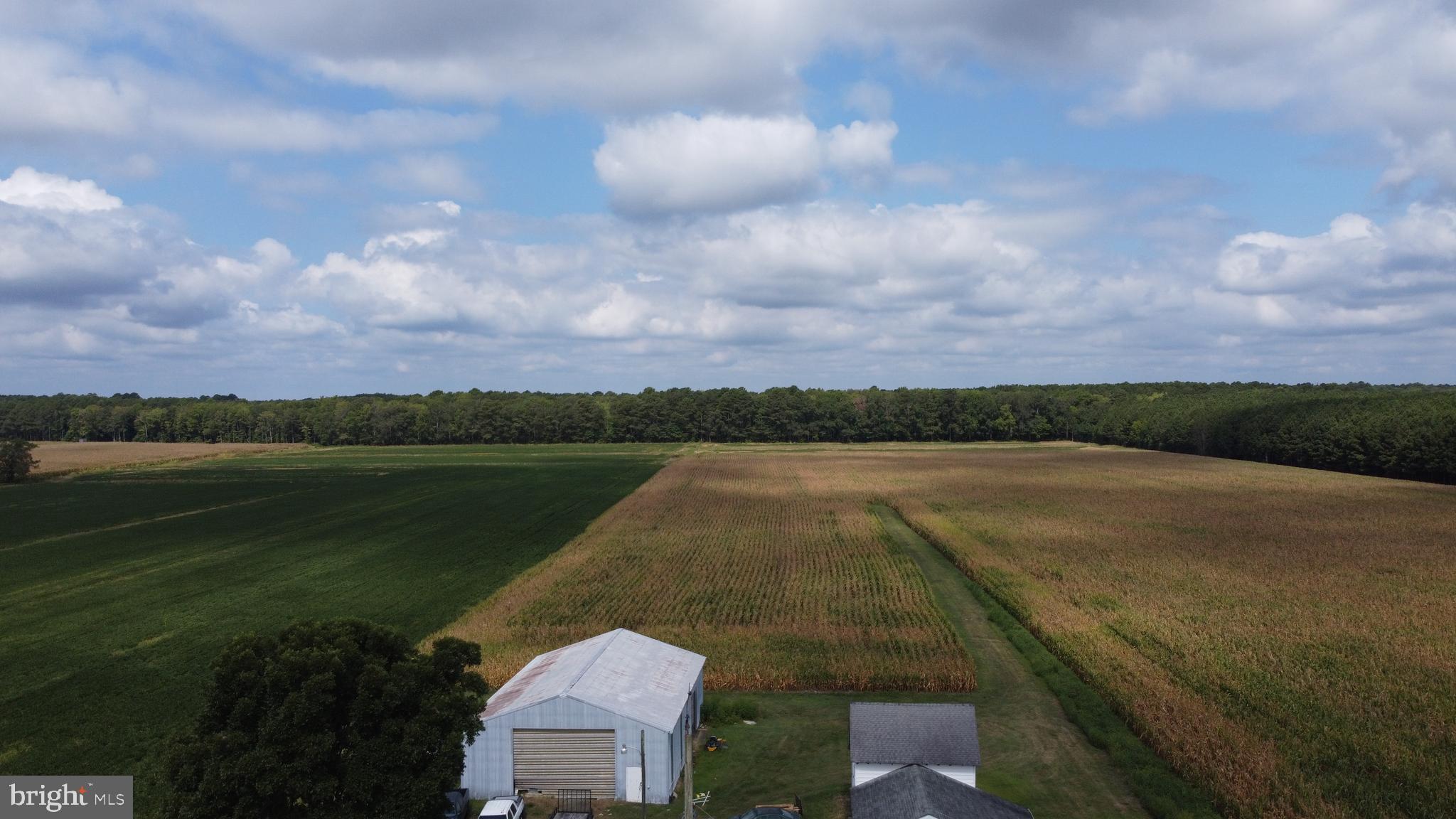 5449 Shell Road Snow Hill, MD 21863 - Photo 10 of 45 a view of a lake