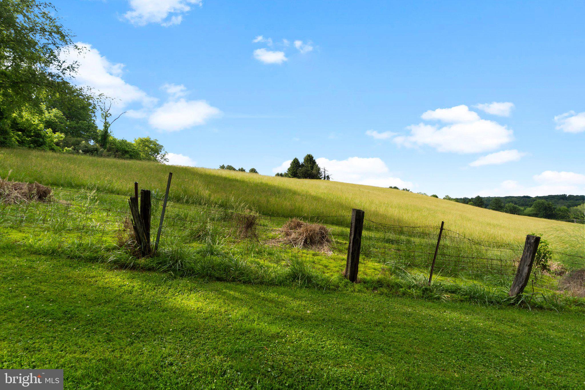 342 Ring Road Chadds Ford, PA 19317 - Photo 64 of 95 Serene countryside with lush fields.