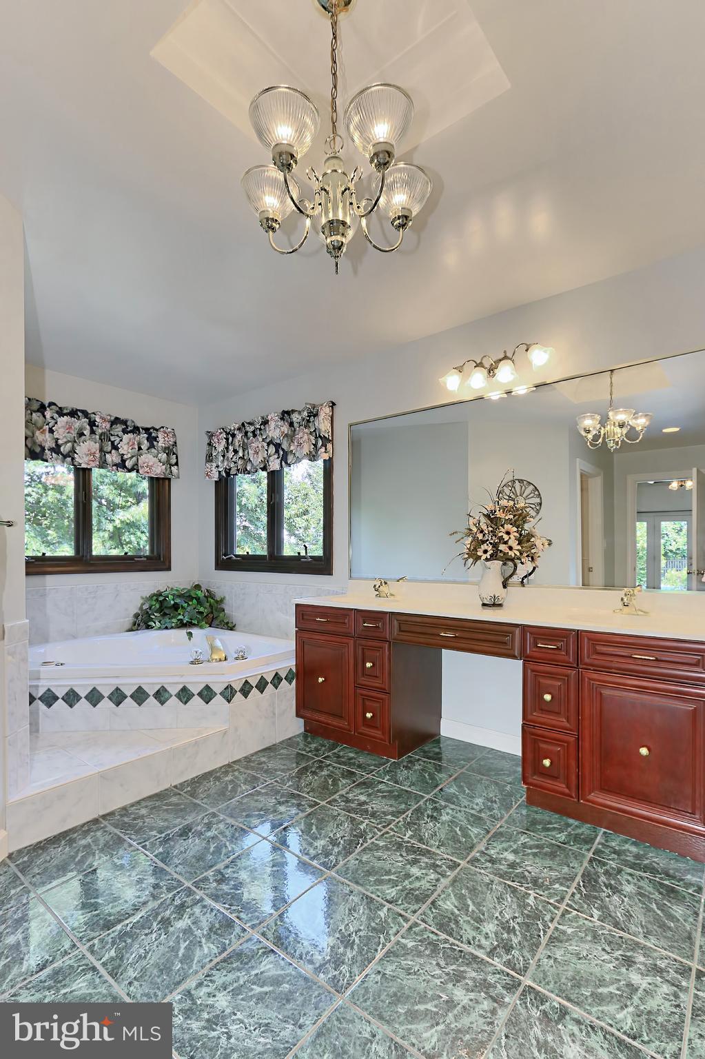 18001 Tranquility Road Purcellville, VA 20132 - Photo 17 of 31 MASTER BATH WITH JETTED TUB & DOUBLE SINKS