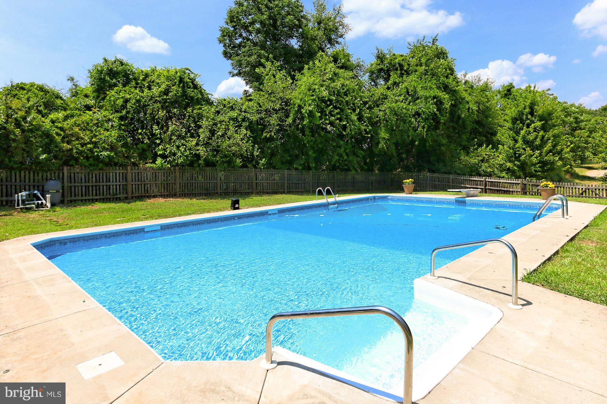 18001 Tranquility Road Purcellville, VA 20132 - Photo 24 of 31 SPARKLING 40 FT. POOL