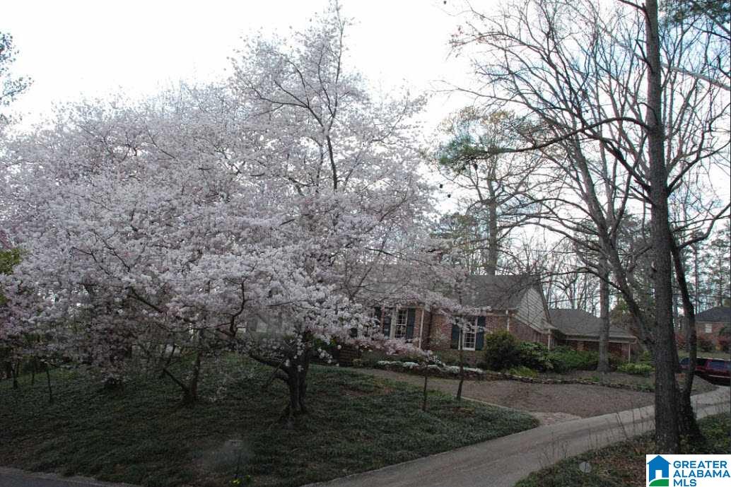 3749 Rockhill Road Birmingham, AL 35223 - Photo 29 of 30