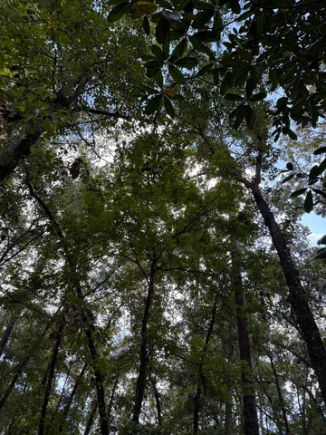 $175,000 | Dogwood Hill, Tallahassee, FL 32312