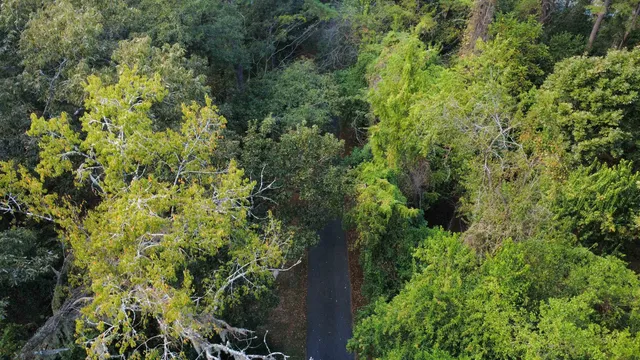 $175,000 | Dogwood Hill, Tallahassee, FL 32312