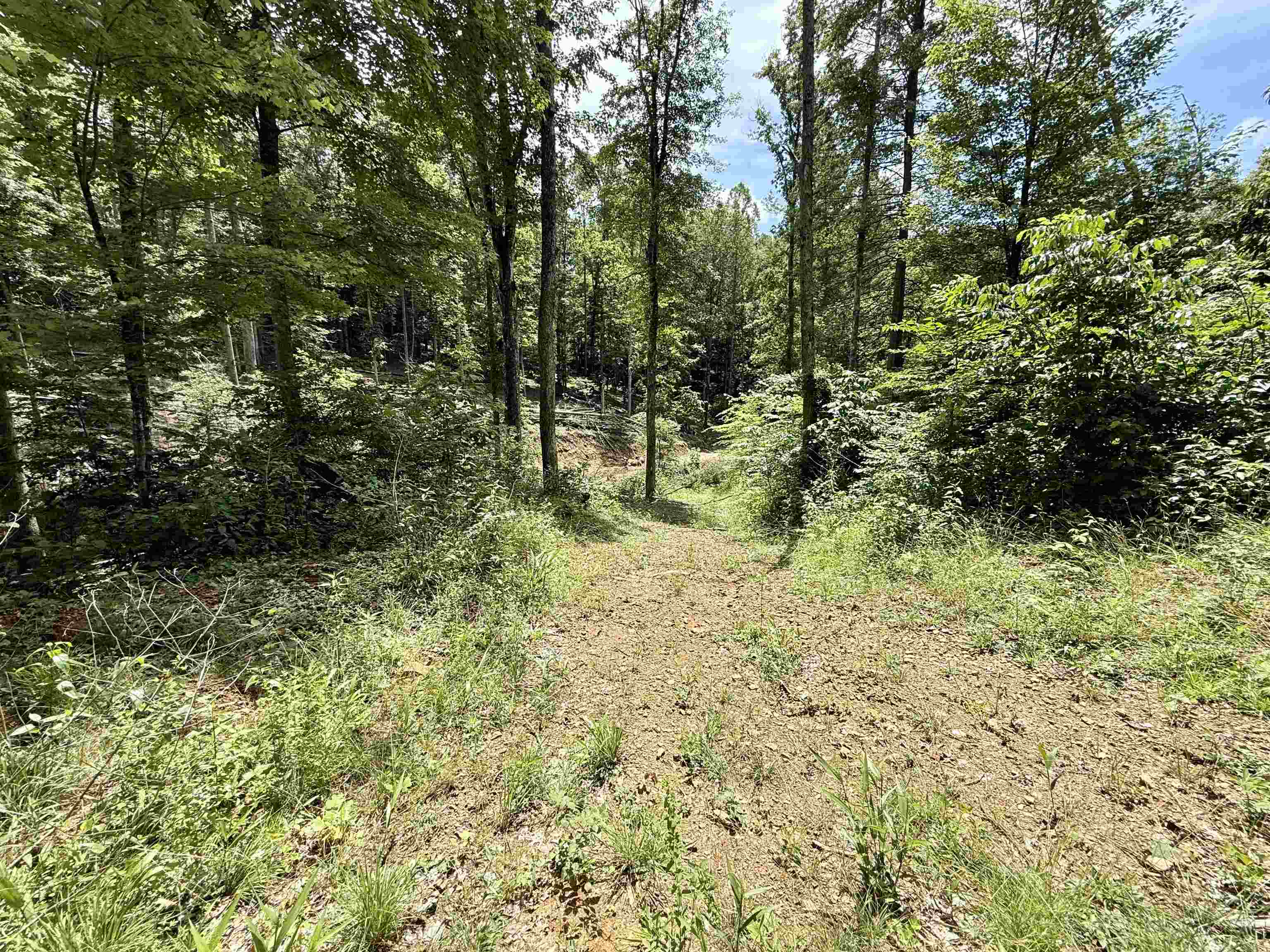 1481 Kellacey Road West Liberty, KY 41472 - Photo 17 of 23