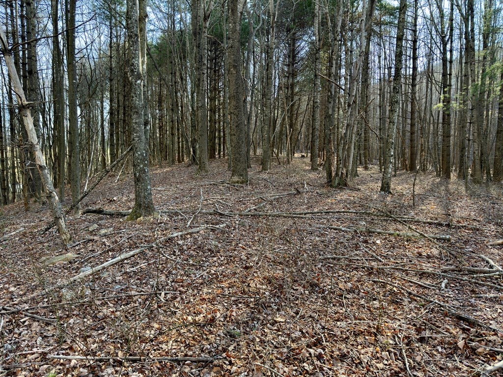 Tbd Breezy Ridge Road, Unit PART 96A101 Woodlawn, VA 24381 - Photo 80 of 86 Gallery Image 80