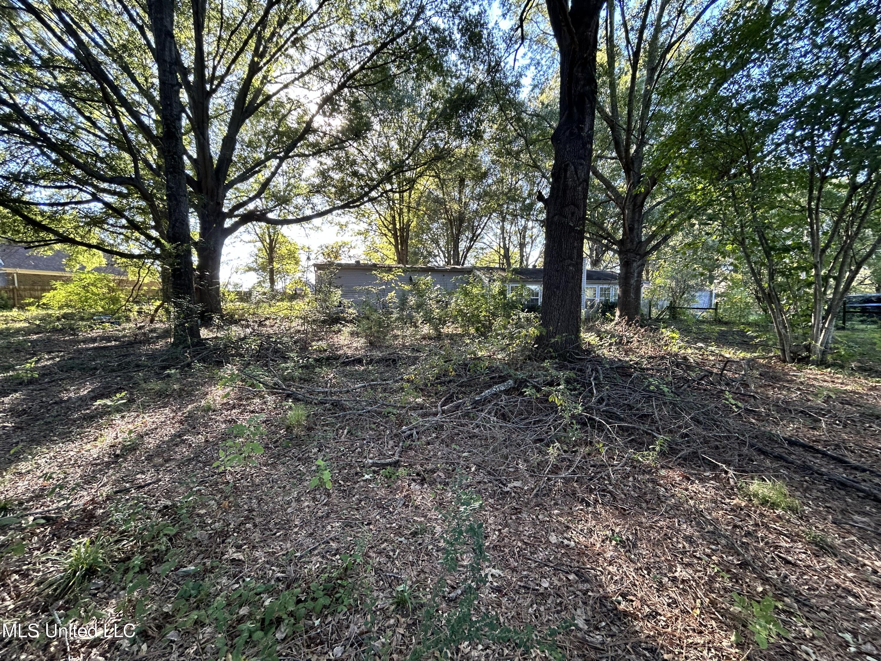 3399 Swinnea Road Southaven, MS 38672 - Photo 9 of 11 IMG_8725