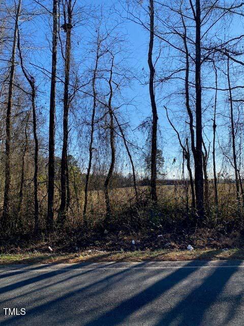 Lot 4 Bunnlevel Erwin Road Bunnlevel, NC 28323 - Photo 3 of 4 2