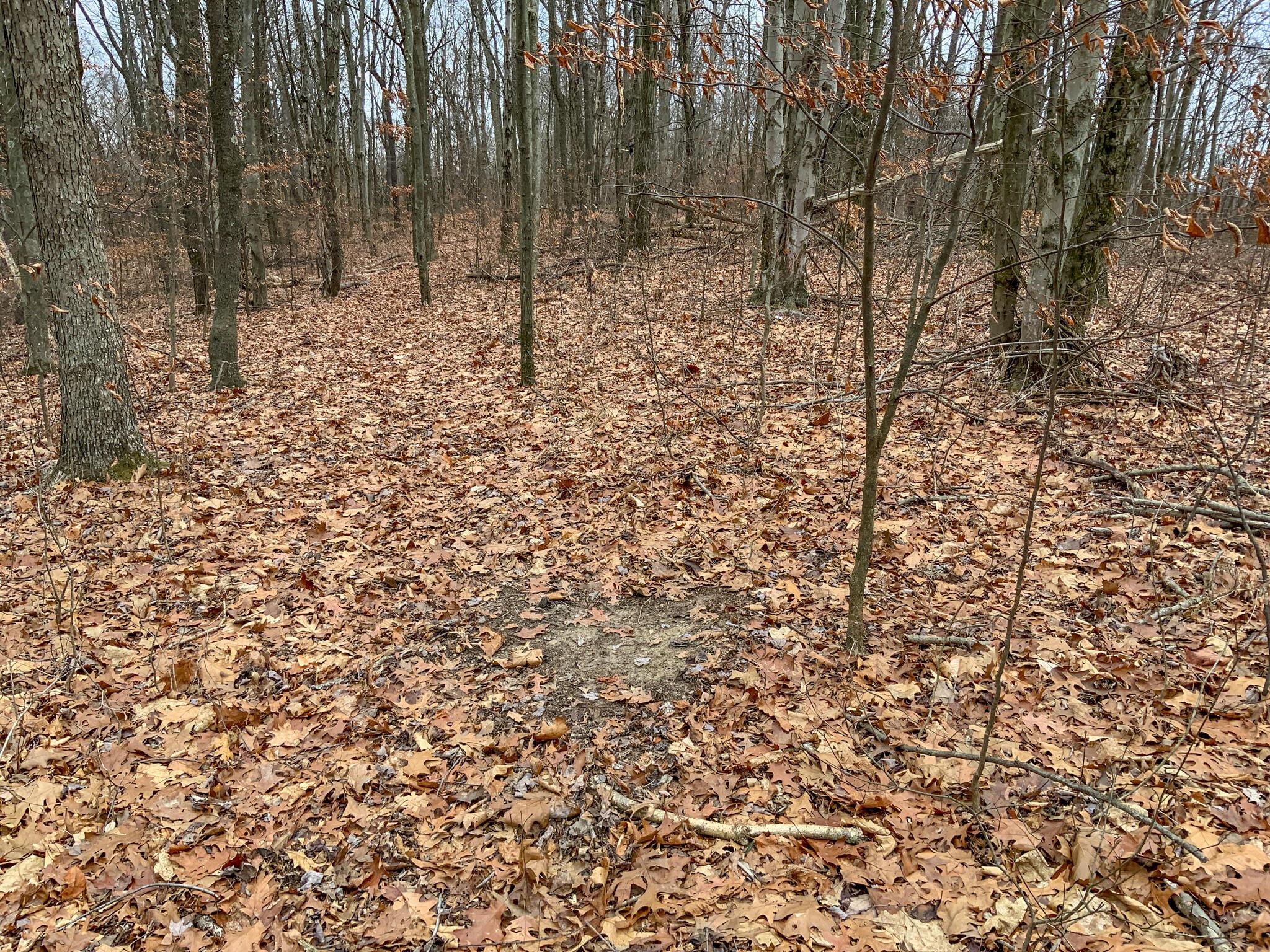 0 Cream Ridge Road Lisbon, OH 44432 - Photo 23 of 49 IMG_4807