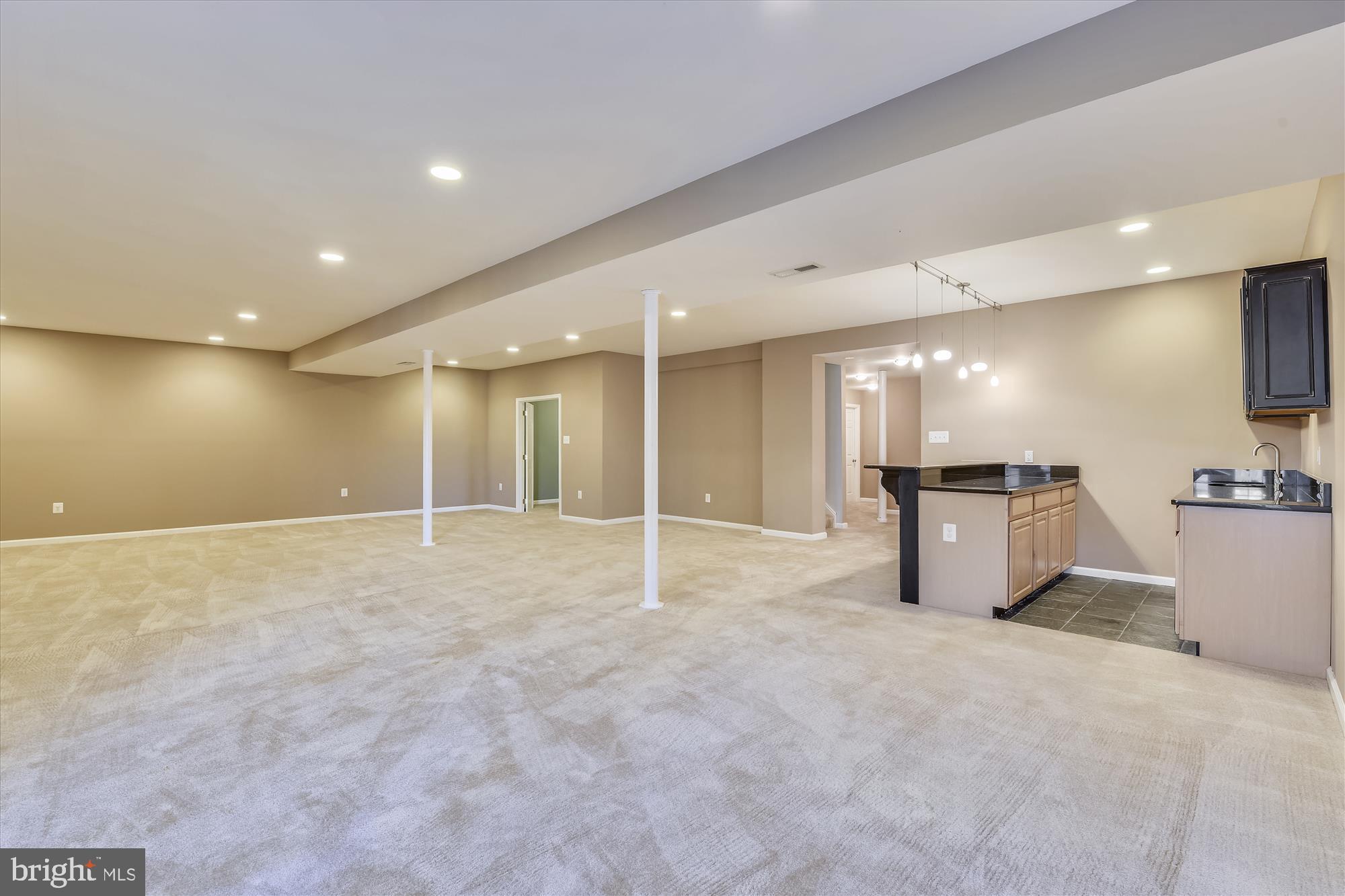 9745 Crest Hill Road Marshall, VA 20115 - Photo 50 of 56 Walkout Finished Lower Level