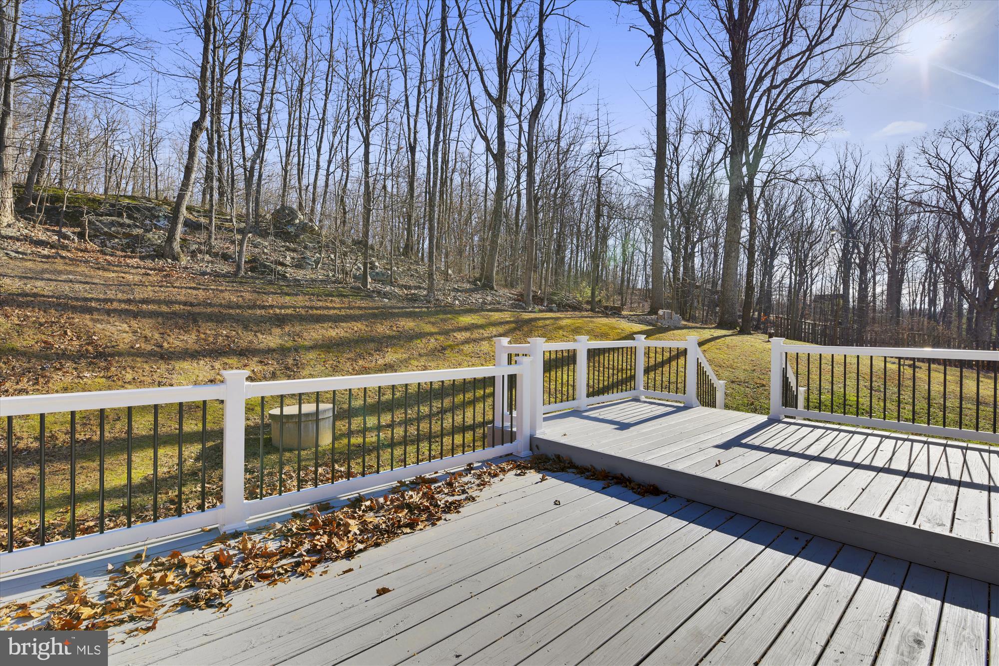 9745 Crest Hill Road Marshall, VA 20115 - Photo 55 of 56 Backyard View